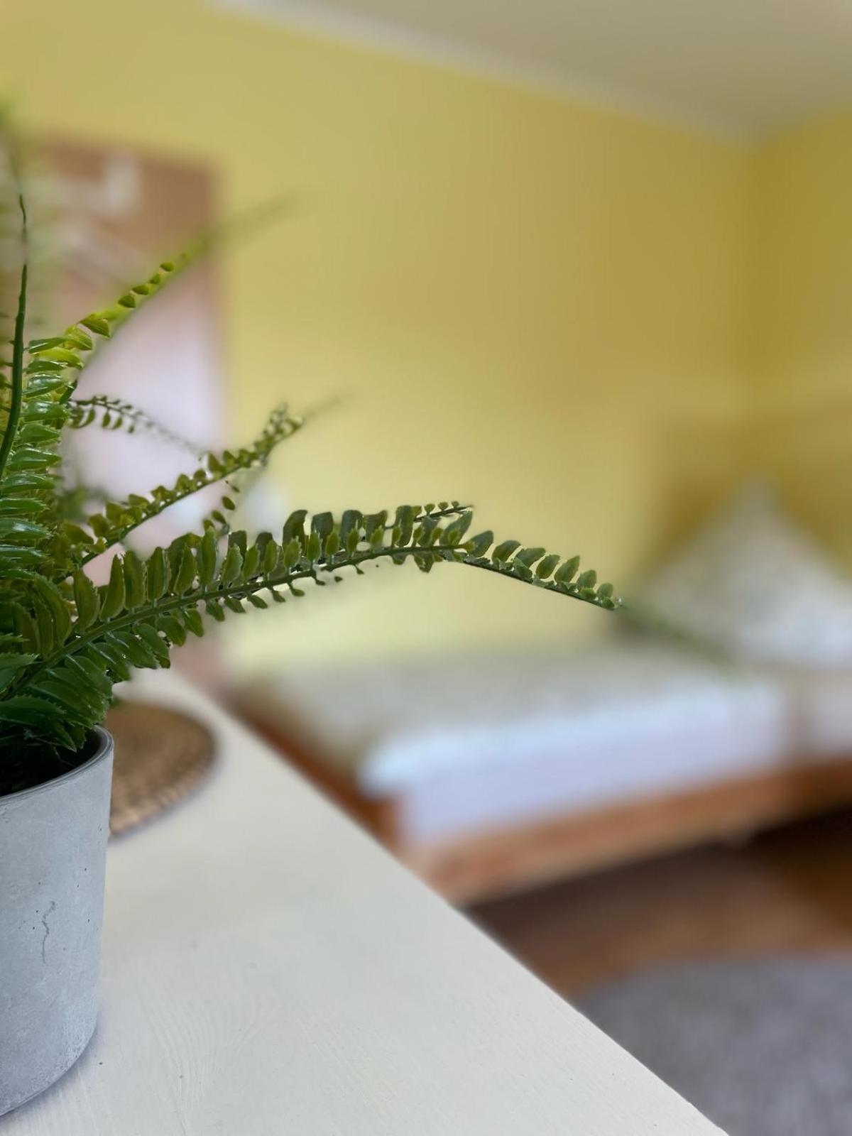 Apartament Modernes Im Gruenen, Mit Park- Und Meer-naehe